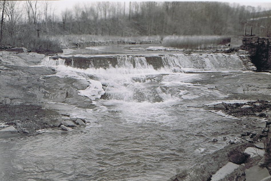 March in the Valley, Silent Auction and Cabaret